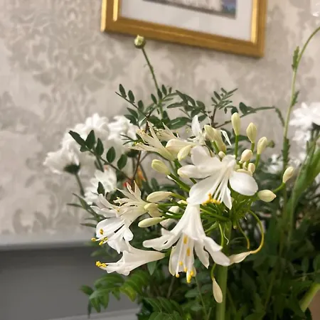 民宿 Pinebrook House Double Bed Small En-suite Free Parking 基利贝格斯