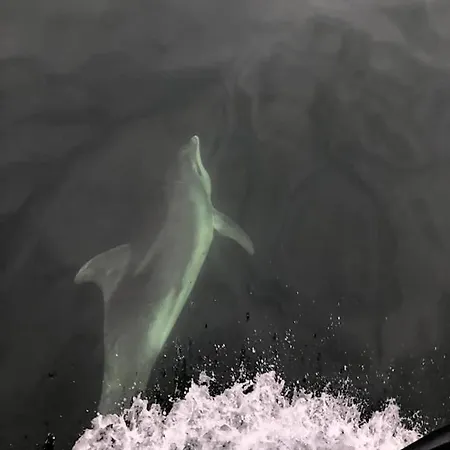 民宿 Pinebrook House Double Bed Small En-suite Free Parking