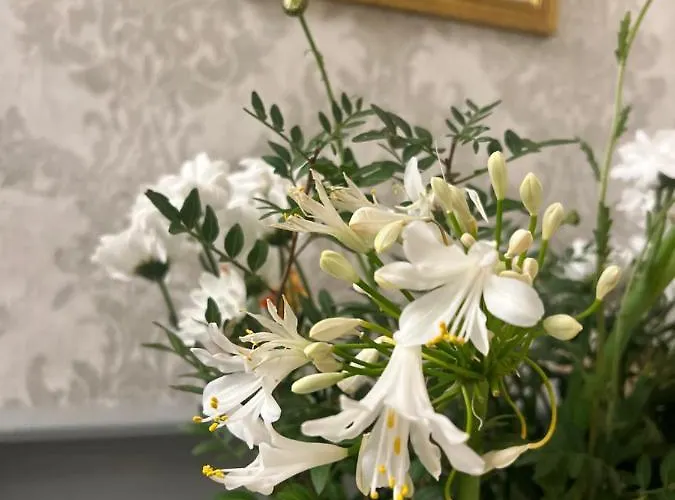 Homestay szállás Pinebrook House Double Bed Small En-suite Free Parking Killybegs