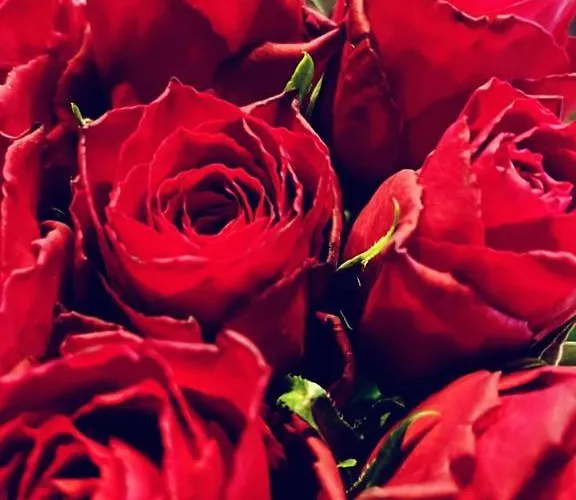 Pinebrook House Double Bed Small En-suite Free Parking Killybegs