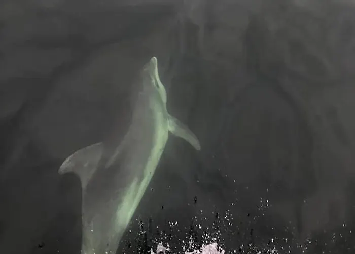 Habitación en casa particular Pinebrook House Double Bed Small En-suite Free Parking